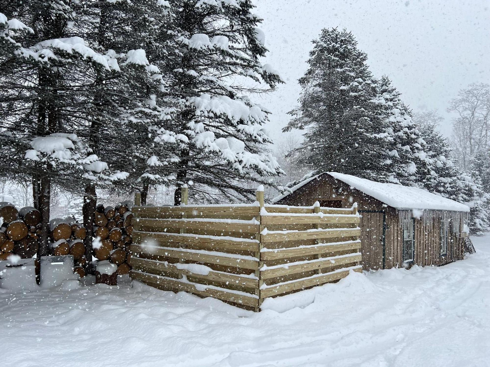 Timberline Lodge เอลลิคอตต์วิลล์ ภายนอก รูปภาพ